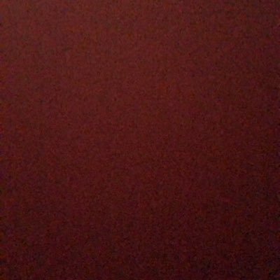 Scoobydoo981's profile picture. ~ blessed mess