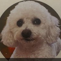 rosh jeynolds (@joshrey223) 's Twitter Profile