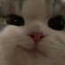 นอวอ 𖧷˚ ༘ *:・ft.รับทำพัดเชียร์/ป้ายเชียร์ (@iinavirgo) Twitter profile photo นอวอ 𖧷˚ ༘ *:・ft.รับทำพัดเชียร์/ป้ายเชียร์ (@iinavirgo) Twitter profile photo