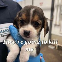 ShutdownMBRAcres👊👊👊👊👊👊👊👊👊 (@mjmaher4) 's Twitter Profile Photo