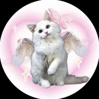 みみんのオタ活日記❤︎ (@sungjeljoe23) 's Twitter Profile Photo みみんのオタ活日記❤︎ (@sungjeljoe23) 's Twitter Profile Photo