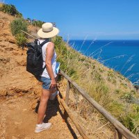 Santa Saule (@santapasaule) 's Twitter Profile Photo