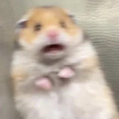 oleh_riznyk's profile picture. Так люблю фейсбук, що завів твітер акаунт