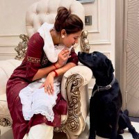 Sangeeta yadav (@sangeetayav2928) 's Twitter Profile