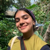 Kulsum Hafeji (@kulsumhafeji) 's Twitter Profile