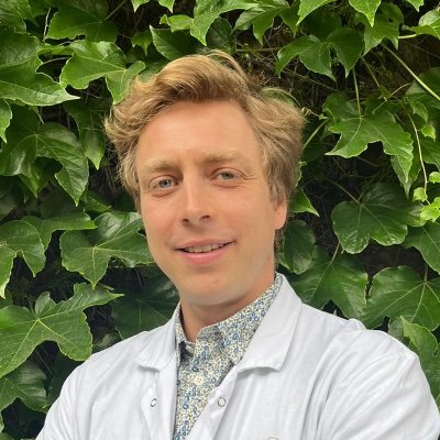 Jules GREGORY Profile