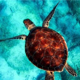 yoshi1043505's profile picture. 副業の成功法を共有中。副業を始めたい人にお得な情報をお届け。ほんの僅かですが10万円プレゼント企画も実施中！ なくなり次第終了▷ https://t.co/7hWT2MvExc