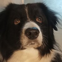 Tuli (@tulidey_tbl) 's Twitter Profile