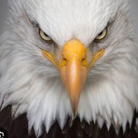 Marcus Sumner (@johnsmaka2) Twitter profile photo