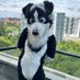 Ally๐จ๐ฆ (@allypuppers) Twitter profile photo Ally๐จ๐ฆ (@allypuppers) Twitter profile photo