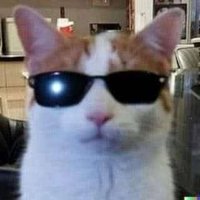 Gold3n (@justgold3n) 's Twitter Profile Photo Gold3n (@justgold3n) 's Twitter Profile Photo