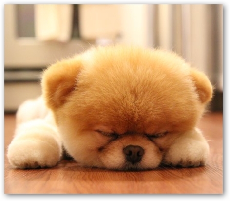 Kez_Middleton's profile picture. Online bingo, blackjack, roulette, slots - I love to play and write about casino games.