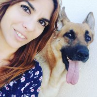 Teresa Fuentes (@teresalamanca) 's Twitter Profile Photo Teresa Fuentes (@teresalamanca) 's Twitter Profile Photo