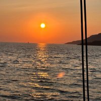 Grey Mills (@greymills1) 's Twitter Profile Photo