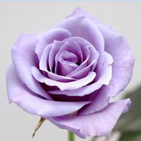 tears (@yu20240416_17) 's Twitter Profile Photo tears (@yu20240416_17) 's Twitter Profile Photo
