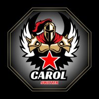 Carol Switzer (@caroldesignss) 's Twitter Profile