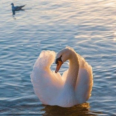 Chisato25338515's profile picture. 副業で安定した収入を得る方法を発信中。副業を始めたい人にお得な情報をお届け。少しですが現金給付企画も実施中。 支援中➡ https://t.co/DNahi5HPFF