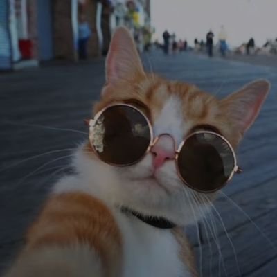 Bobby_babe69's profile picture. हतो वा प्राप्स्यसि स्वर्गं जित्वा वा भोक्ष्यसे महीम्।

तस्मादुत्तिष्ठ कौन्तेय युद्धाय कृतनिश्चयः।।2.37।।
Living the Truth 🌈/
I'm the soul of @EvaRomonov