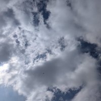 Helen (@helenbryer) 's Twitter Profile