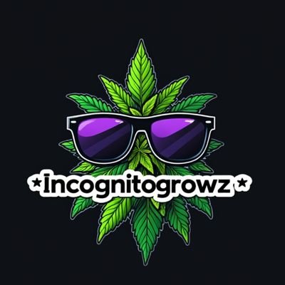 @incognitogrowz