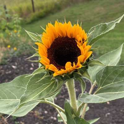 JasonSt77914978's profile picture.