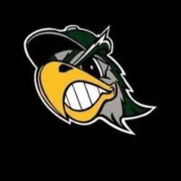 Adalyn Olson (@adalynolson_27) 's Twitter Profile