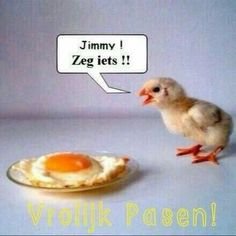 Kan niet tegen onrecht, leugens, dwang, Linkse vernietigers, Salon Socialisten en landverraders.