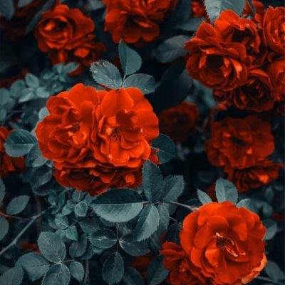 収入アップの秘訣やおトク情報など発信したりしています。自分がお金に苦労した経験から生活に困っている人を助けたいと思い、少額ですがお金配り企画を実施しております! なくなり次第終了▶ https://t.co/rivE9fxEeW