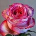 Abd Abd (@abdabd05313957) Twitter profile photo Abd Abd (@abdabd05313957) Twitter profile photo