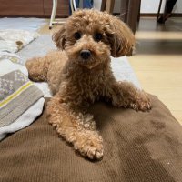 To→hiro (@tohiro0110) Twitter profile photo
