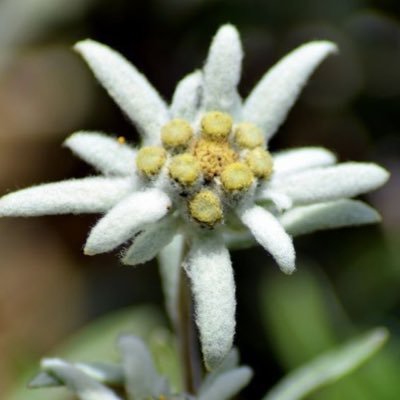 Valkyrj92669819's profile picture. Σ ♀️