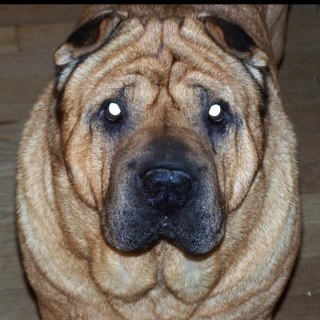 HobbitxWizard's profile picture. 