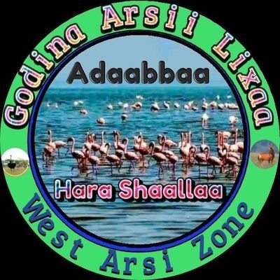 Head of Adaba woreda Trade job creation and investment office