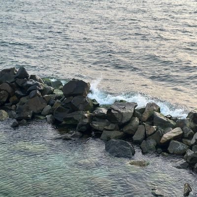 k_a11_i's profile picture. الحمدلله دائماً وأبداً 🤍