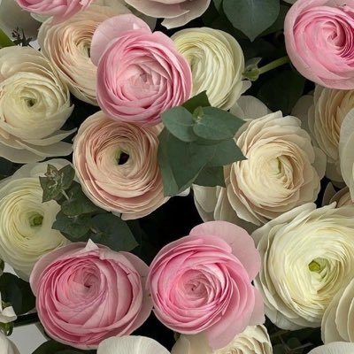 بسيطة وأحب البسطاء ✨ https://t.co/PCTeu1JfjN