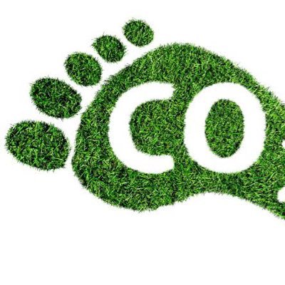 SaferAlpha's profile picture. Apocalyptic memoirs