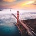 It’s Always Foggy in Northern Cali (@itsalwaysfoggy) Twitter profile photo