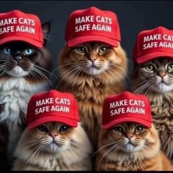 🇺🇲✝️💯 America will be great again