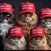 Don’t Stress Meowt (@hahahah99989935) Twitter profile photo Don’t Stress Meowt (@hahahah99989935) Twitter profile photo