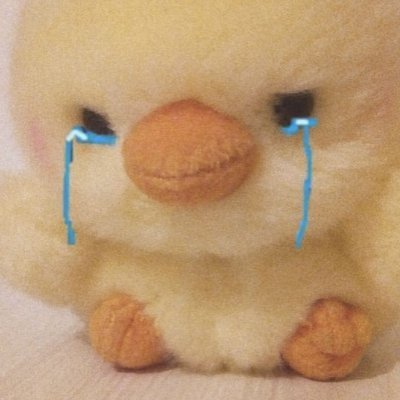 ducksworth_'s profile picture. oh no business@ducksworth.co.uk