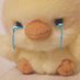Duck (@ducksworth_) Twitter profile photo Duck (@ducksworth_) Twitter profile photo