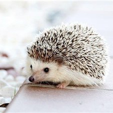 ayaka185189's profile picture. お金の増やし方やおトクな情報などお伝えしたりしています。自分がお金に苦労したので生活に困っている人の力になれればと思い、少額ですが10万円プレゼント企画を実施しております♬ 詳細はコチラから⇒ https://t.co/gbFaHFiYN7