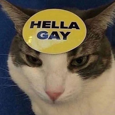 oreoreoreoreo13's profile picture. just here to like what I like. 19