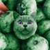 GreenberryCat (@greenberrycat) Twitter profile photo GreenberryCat (@greenberrycat) Twitter profile photo