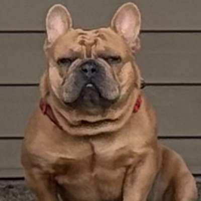 AngelMalon93898's profile picture. 