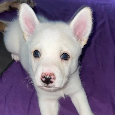 BeebeCat68046's profile picture. 