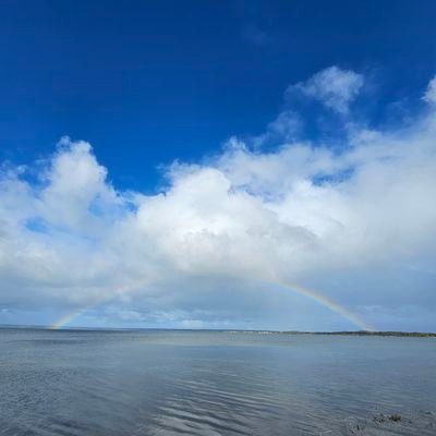 mybendinsurance's profile picture. 