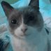 Dora (@handsomestgirl) Twitter profile photo Dora (@handsomestgirl) Twitter profile photo