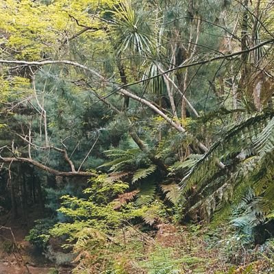 err0r404l0st's profile picture. 