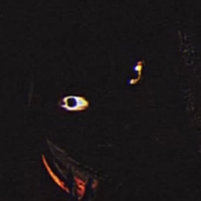 She/Her | 22 | Horror Creator/Artist | Multi-Media | Character designer | Pfp: Herobrinegirlita
